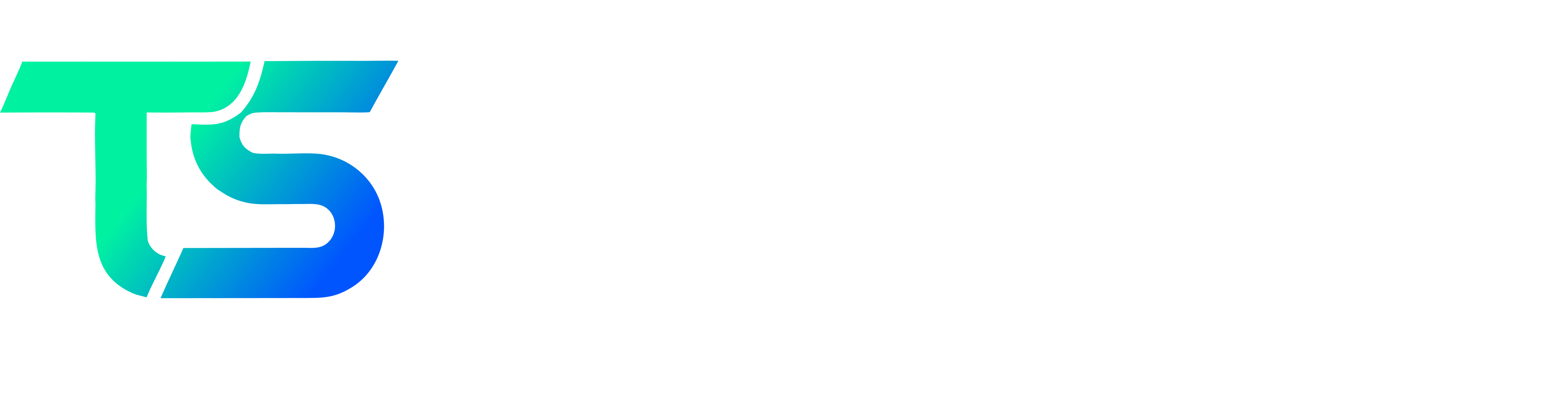 TechSoft Global Solutions - AI-Powered Digital Operations Logo